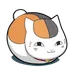 影猫の仓库